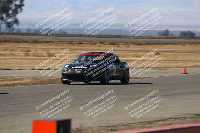 media/Nov-16-2024-CalClub SCCA (Sat) [[641f3b2761]]/Group 4/Grid and Front Straight/